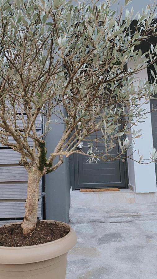 יואנינה My Home מראה חיצוני תמונה